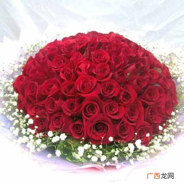 一朵玫瑰代表什么含义（玫瑰花送几朵代表什么