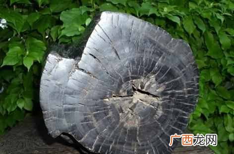 有什么价值 什么是乌木
