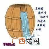 刺猬效应是指什么意思 刺猬效应是什么意思