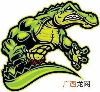 刺猬效应是指什么意思 刺猬效应是什么意思