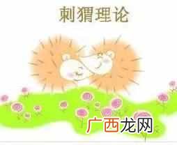 刺猬效应是指什么意思 刺猬效应是什么意思