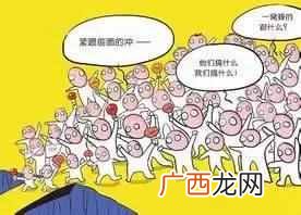 刺猬效应是指什么意思 刺猬效应是什么意思