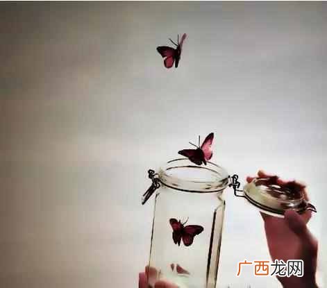 刺猬效应是指什么意思 刺猬效应是什么意思