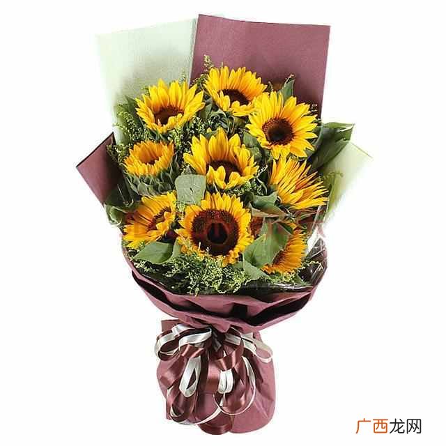 送花有哪些含义 父亲节送什么花最适合