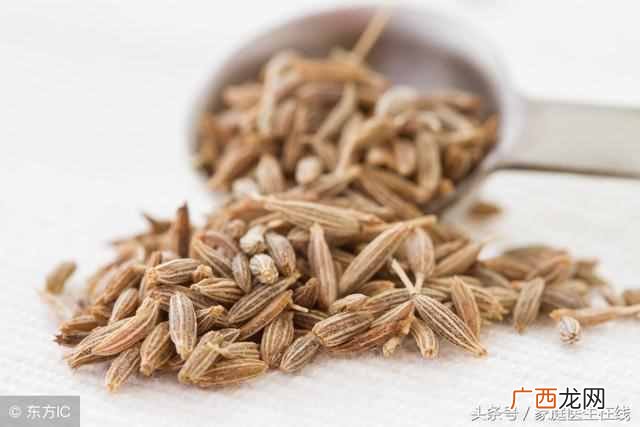 小茴香和大茴香的区别 小茴香是什么东西
