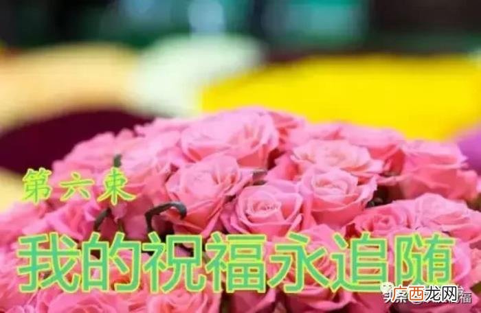七夕情人节祝福别人,最美的祝福送给天下有情人