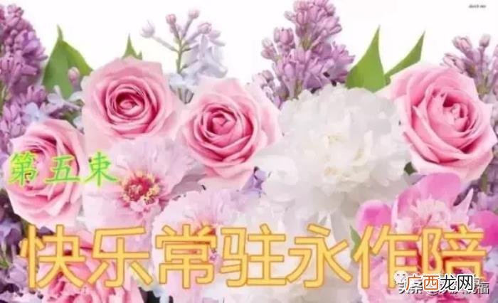 七夕情人节祝福别人,最美的祝福送给天下有情人