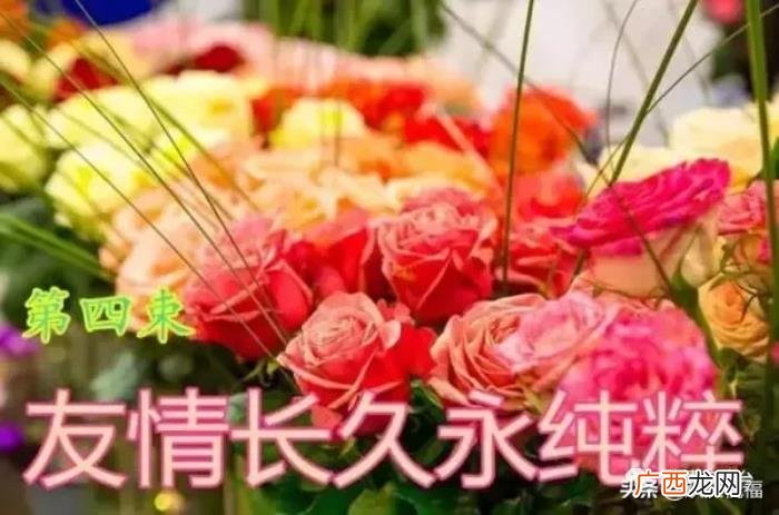 七夕情人节祝福别人,最美的祝福送给天下有情人