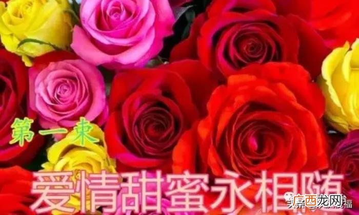 七夕情人节祝福别人,最美的祝福送给天下有情人