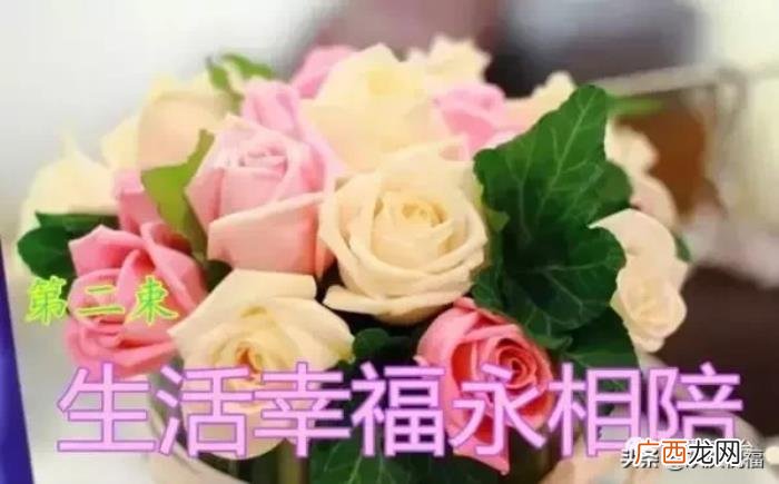 七夕情人节祝福别人,最美的祝福送给天下有情人