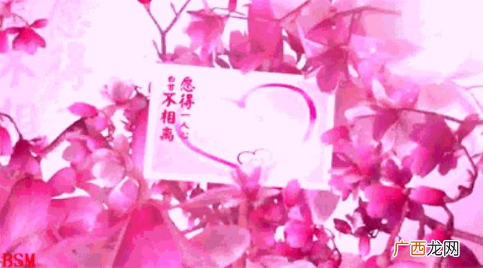 七夕情人节祝福别人,最美的祝福送给天下有情人