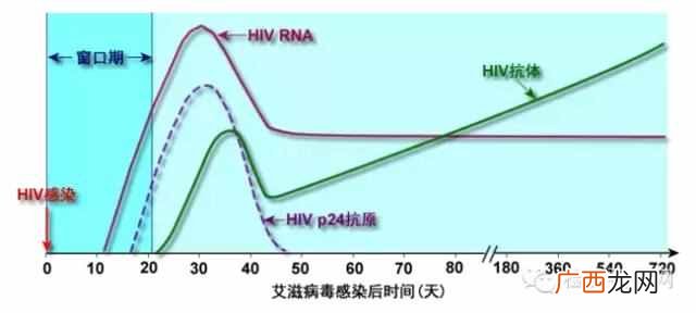 什么是潜伏期 什么是窗口期