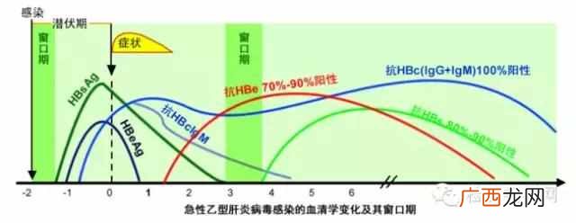 什么是潜伏期 什么是窗口期