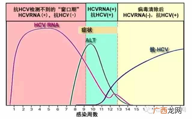 什么是潜伏期 什么是窗口期