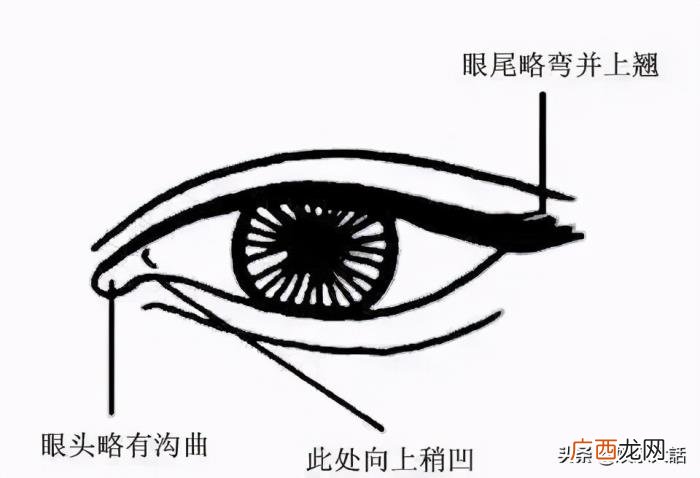 9位桃花眼男演员 桃花眼是什么样的
