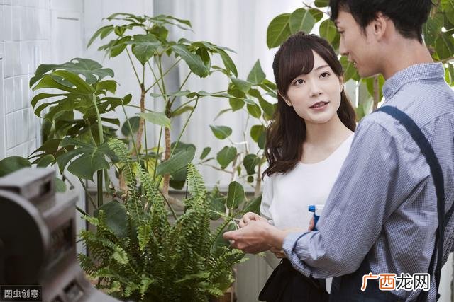 批发鲜花去哪里进货,开一个花店大概需要投资多少钱