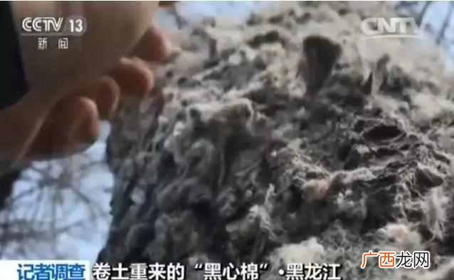 黑心棉怎么鉴别 什么是黑心棉内衣