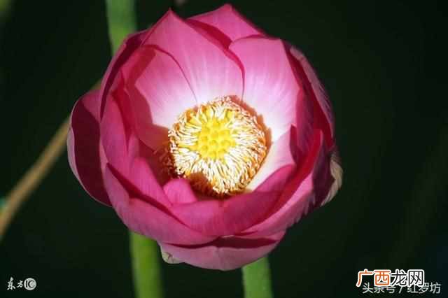 结婚几年代表什么婚 结婚十年什么婚
