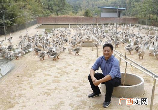 湖南养鸭鹅合作社有吗 鹅养殖合作社
