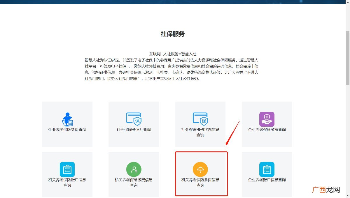 衡阳市养老保险个人查询