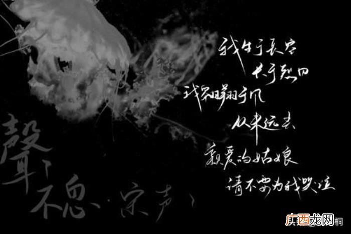 女孩别为我哭泣，请不要为宋声声哭泣