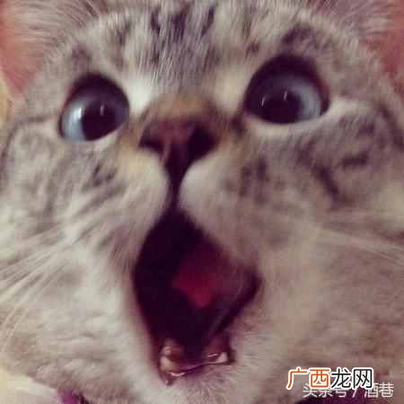 周公解梦是吉是凶 晚上梦到掉牙是什么意思