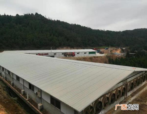 广西适合养羊吗 广元适合种养殖什么