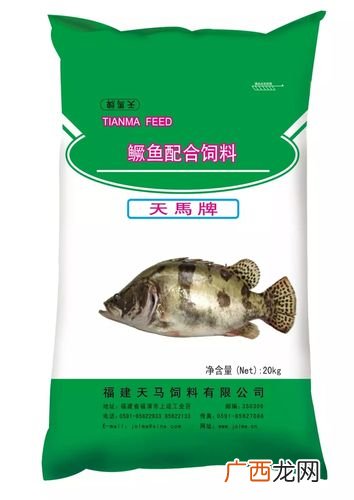 腌鲜鳜鱼的图片 鳜鱼冰鲜养殖