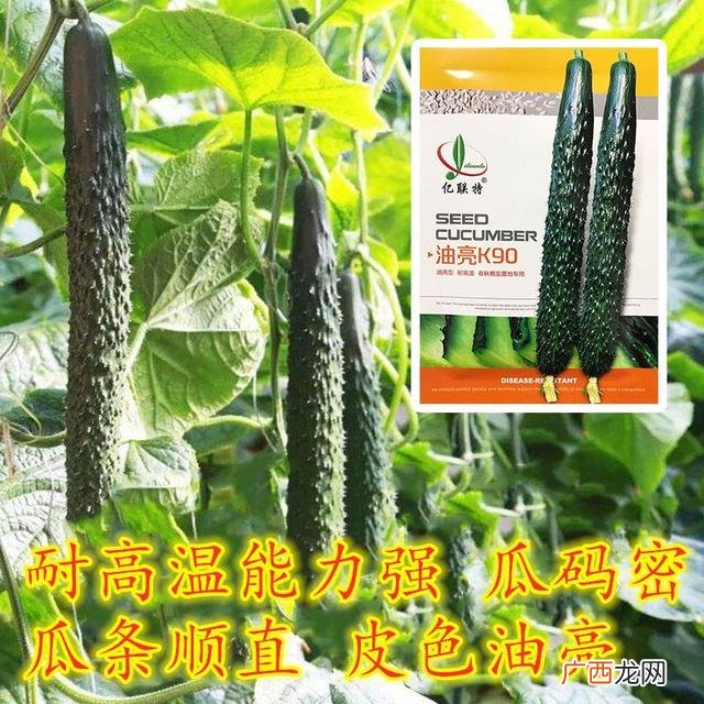 六七月份适合种植什么农作物,7月份种植什么农作物最合适 -