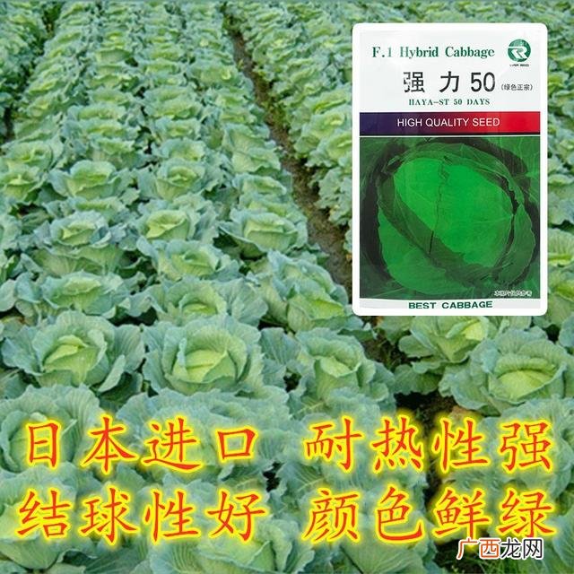 六七月份适合种植什么农作物,7月份种植什么农作物最合适 -