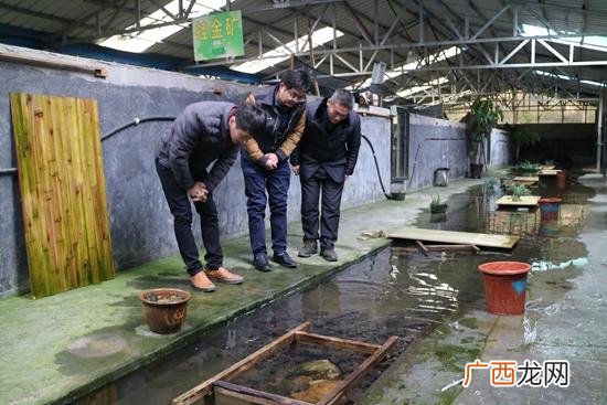 特种养殖的鸡有哪些品种 国家推广特种养殖品种