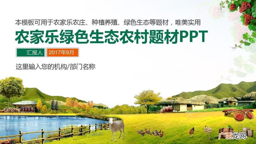 楼顶养殖致富案例 互联网养殖案例