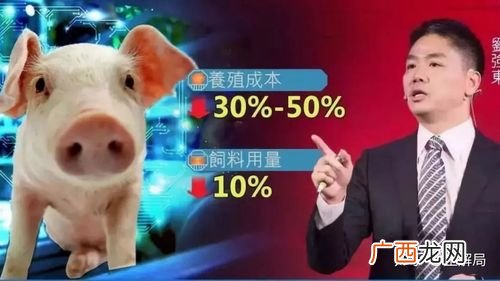 楼顶养殖致富案例 互联网养殖案例