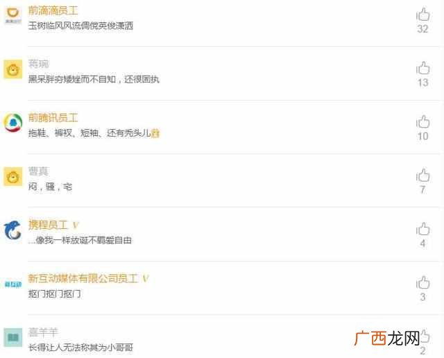 it男中文翻译是什么 it男是什么意思