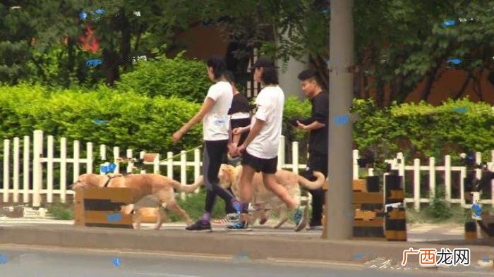张蓝心拍戏头部受伤 受伤图片