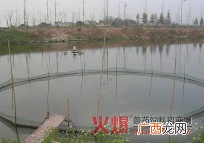 黄骨鱼一亩养多少尾苗 黄骨鱼养殖环境