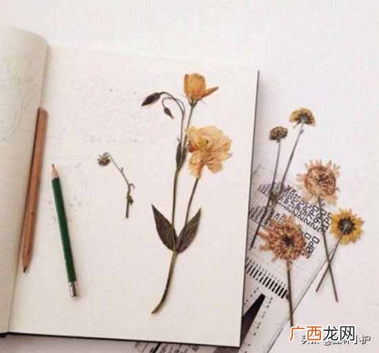 自己怎么制作干花的方法 怎么做干花