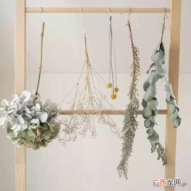自己怎么制作干花的方法 怎么做干花