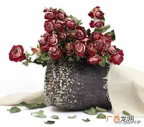 自己怎么制作干花的方法 怎么做干花