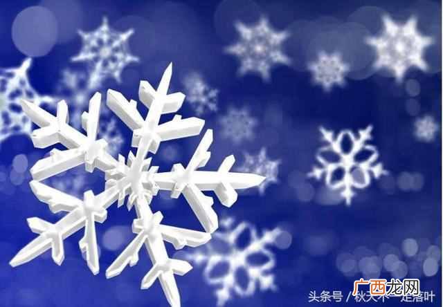 儿童作文雪是怎么形成的范文！