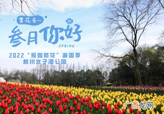 时间+预约方法+注意事项 2022杭州太子湾公园郁金香花展