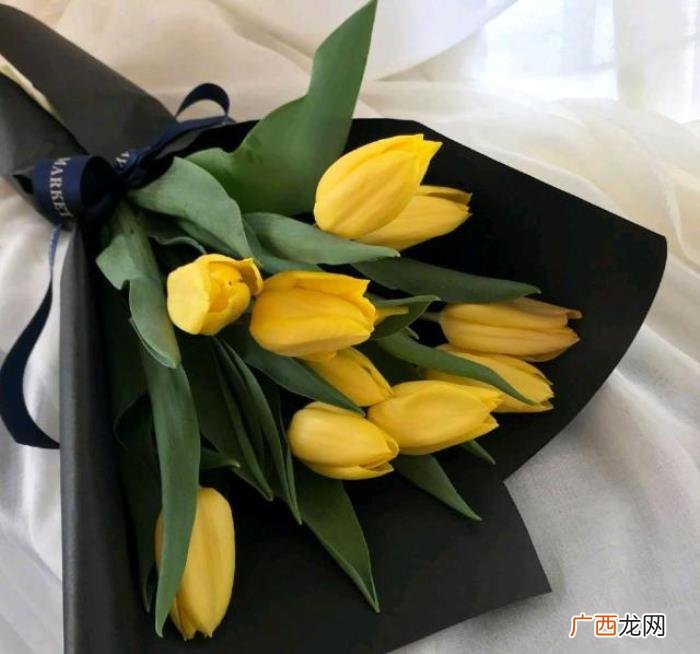 新年很有意境的句子 关于新年的句子