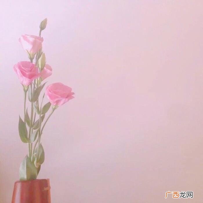 【少女心背景图】背景图 少女心图片