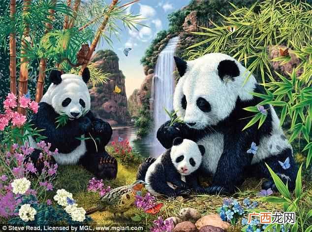 怎么测智商值高低，人的智商怎么测试！