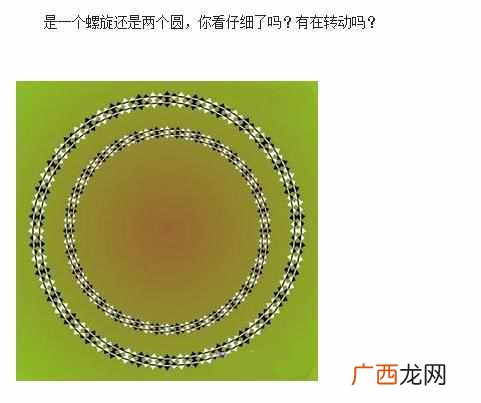 怎么测智商值高低，人的智商怎么测试！