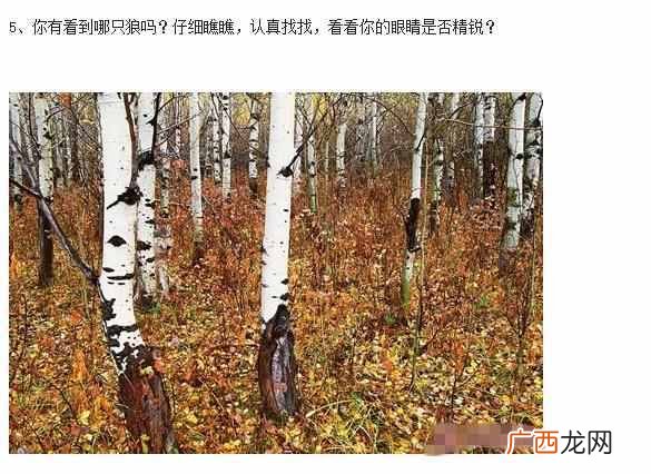 怎么测智商值高低，人的智商怎么测试！