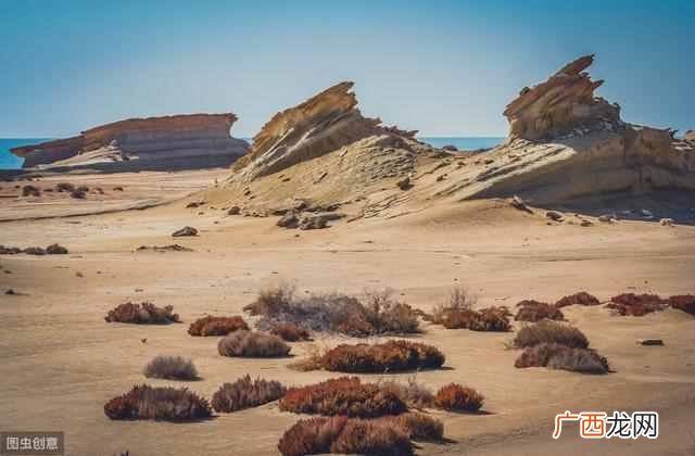 社会人怎么学心理学，如何自学心理学！