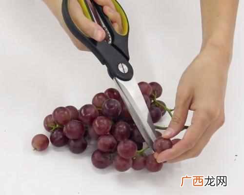 面粉洗葡萄什么原理 怎么洗葡萄又快又干净