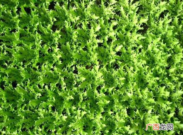 纸上三维立体图怎么看出来（为什么我看不了立