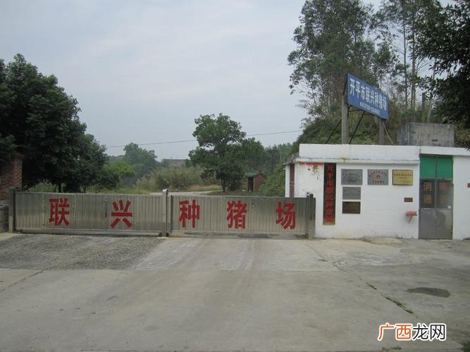汉中新闻养殖场 开平养殖场新闻